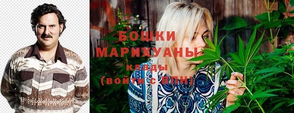 гидра Саяногорск