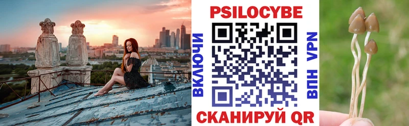 Купить Власиха Псилоцибиновые грибы Cubensis
